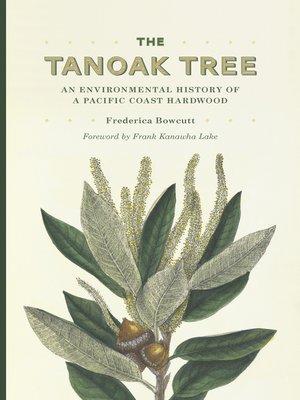 cover image of The Tanoak Tree